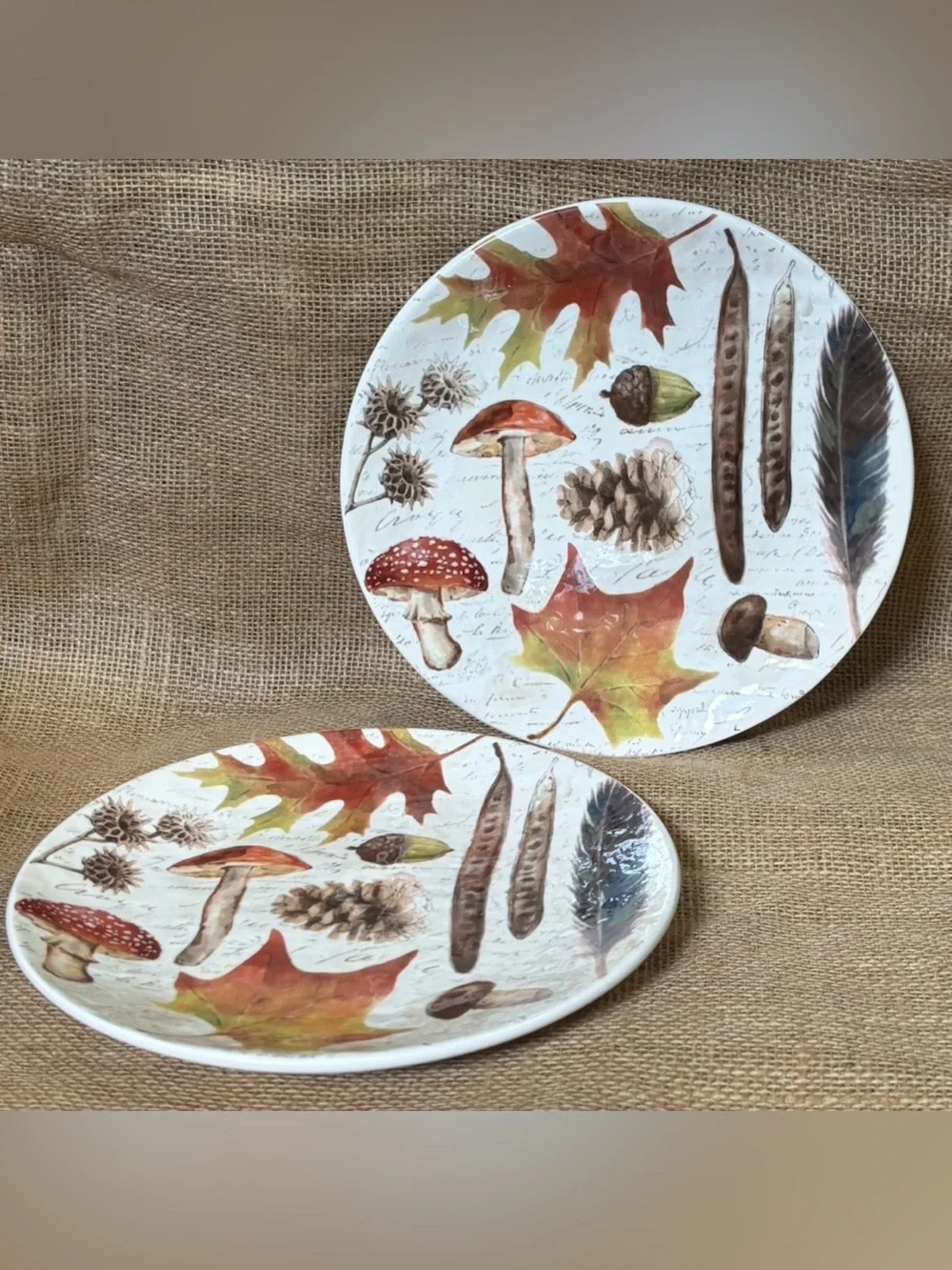 Pier 1 Ironstone Woodland Mushroom Salad Plates Stoneware Cottage Goblin Core